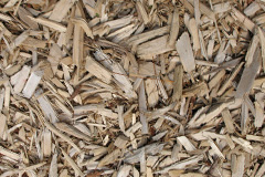 biomass boilers Mugdock