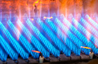 Mugdock gas fired boilers